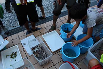 古橋のオオサンショウウオを守る会の活動写真