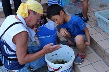 古橋のオオサンショウウオを守る会の活動写真