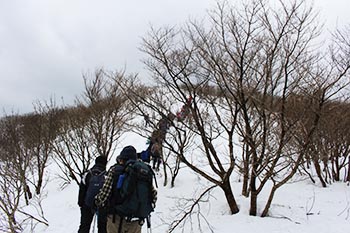 高島トレイルクラブ活動写真