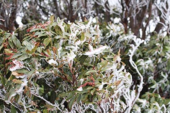高島トレイルクラブ活動写真