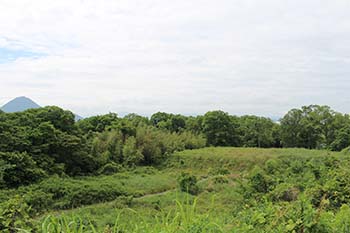 やす緑のひろば　活動の写真