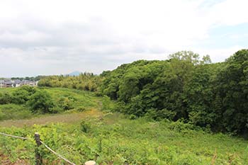 やす緑のひろば　活動の写真