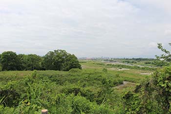 やす緑のひろば　活動の写真