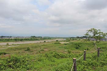 やす緑のひろば　活動の写真