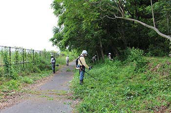 やす緑のひろば　活動の写真