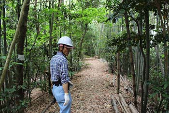 やす緑のひろば　活動の写真