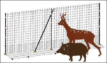 富之郷里山クラブの活動のようす画像