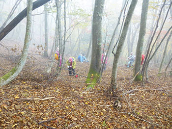 日本熊森協会滋賀県支部　活動のようす画像