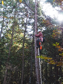 富之郷里山クラブの活動のようす画像
