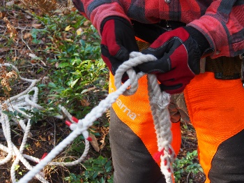 富之郷里山クラブの活動のようす画像