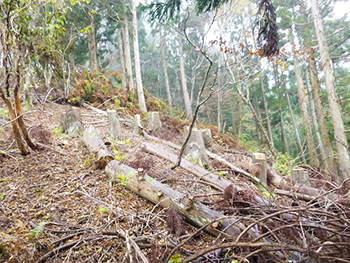 日本熊森協会滋賀県支部　活動のようす画像