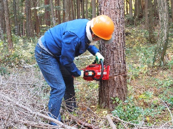 富之郷里山クラブの活動のようす画像