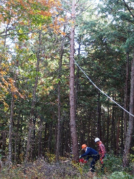 富之郷里山クラブの活動のようす画像
