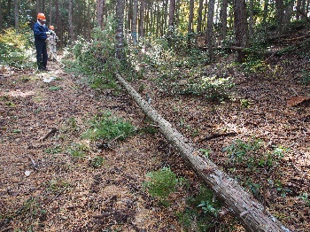 富之郷里山クラブの活動のようす画像