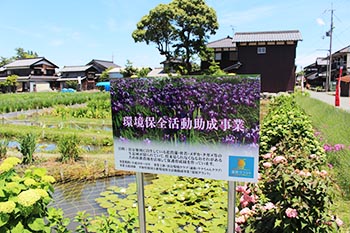 ヤナちゃんクラブ　活動のようす画像