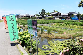 ヤナちゃんクラブ活動のようす画像