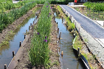 ヤナちゃんクラブ　活動のようす画像