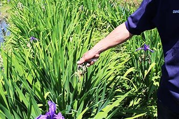 ヤナちゃんクラブ　活動のようす画像