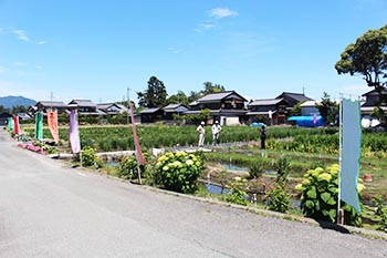 ヤナちゃんクラブ　活動のようす画像