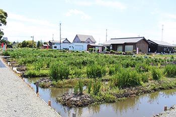 ヤナちゃんクラブの活動のようす画像