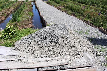 ヤナちゃんクラブ　活動のようす画像