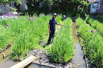 ヤナちゃんクラブの活動のようす画像