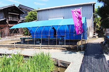 ヤナちゃんクラブの活動のようす画像