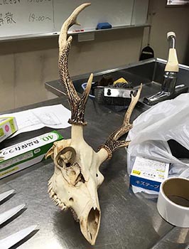 学生料理協会の活動のようす画像