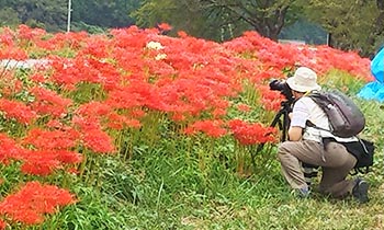 徳山環境保全会　活動のようす画像