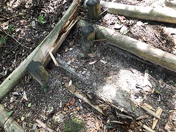 猪子山・地獄越え周辺の山道を良くする会 　活動のようす画像