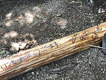 猪子山・地獄越え周辺の山道を良くする会 　活動のようす画像