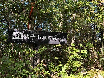 猪子山・地獄越え周辺の山道を良くする会 　活動のようす画像
