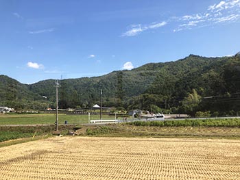 猪子山・地獄越え周辺の山道を良くする会 　活動のようす画像