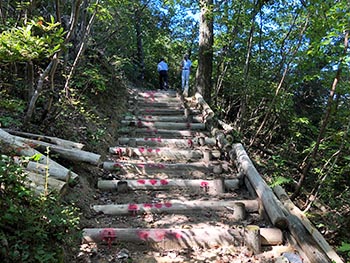 猪子山・地獄越え周辺の山道を良くする会 　活動のようす画像
