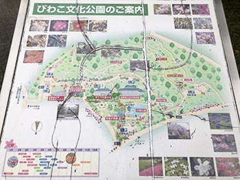 森の風音　活動のようす画像