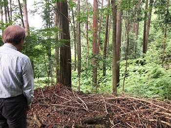 森の風音　活動のようす画像