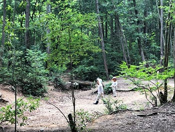 森の風音　活動のようす画像