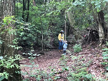 森の風音　活動のようす画像