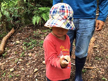 森の風音　活動のようす画像