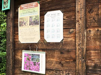 森の風音　活動のようす画像