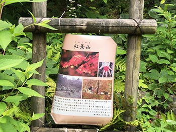 森の風音　活動のようす画像