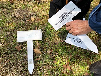 滋賀植物同好会の活動のようす画像