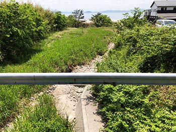 滋賀植物同好会の活動のようす画像