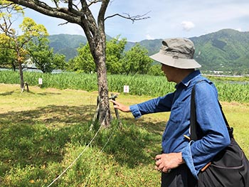 滋賀植物同好会の活動のようす画像