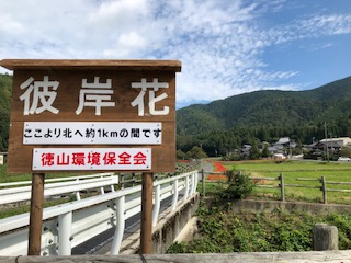 徳山環境保全会　活動のようす画像