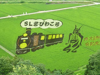 虎御前山古墳と中世城郭保全顕彰会　活動の画像