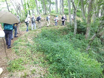虎御前山古墳と中世城郭保全顕彰会　活動の画像