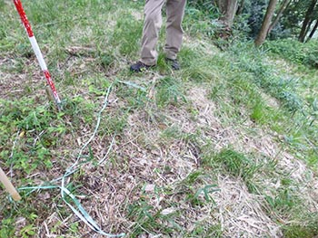 虎御前山古墳と中世城郭保全顕彰会　活動の画像
