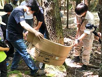 昆虫教室で林に出かけてトラップを木の幹から外しているところ
