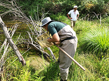 網で池をすくってみると……